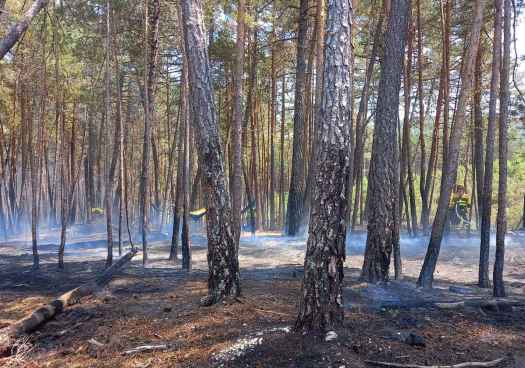 Covaleda vuelve a exigir la construcción del parque de bomberos Pinares Norte