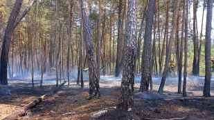 Covaleda vuelve a exigir la construcción del parque de bomberos Pinares Norte