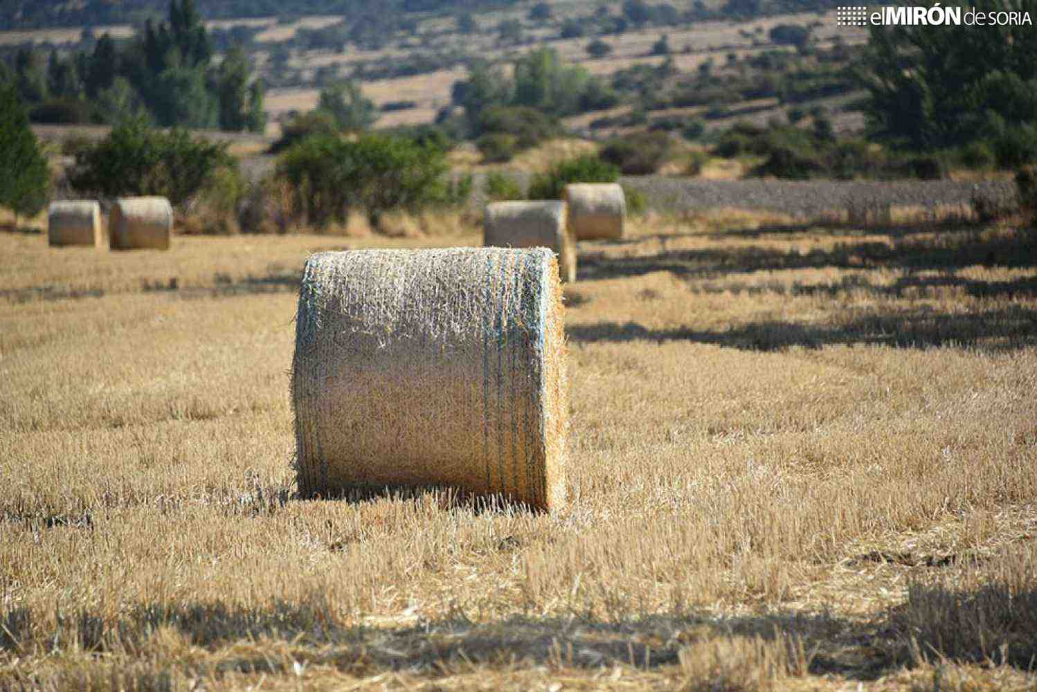 IUCyL apoya movilización de organizaciones agrarias e insta a Junta a cumplir con sector cerealista