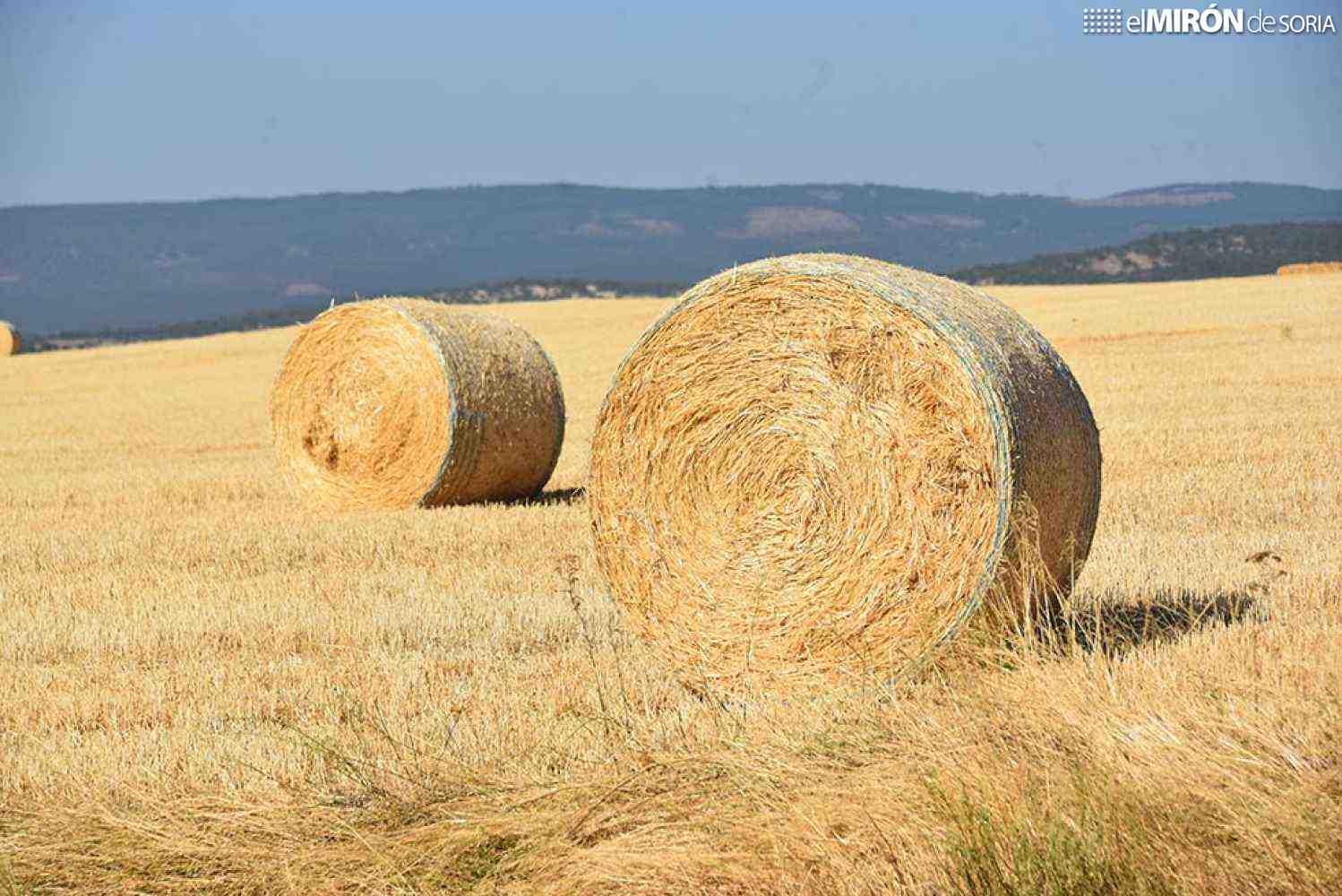 La Junta flexibiliza ecorregímenes para adaptar la PAC a realidad del campo