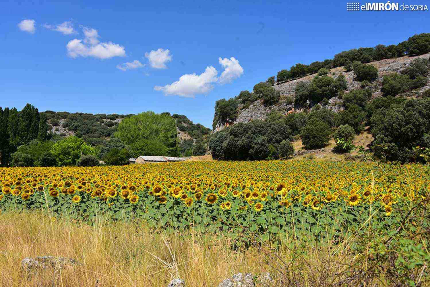 España registra 61 días bajo ola de calor este verano, más que nunca