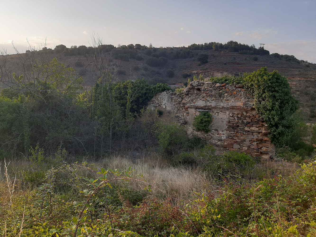 Vozmediano recupera ermita de San Sebastián y su romería y organiza II exposición de fotografías antiguas 