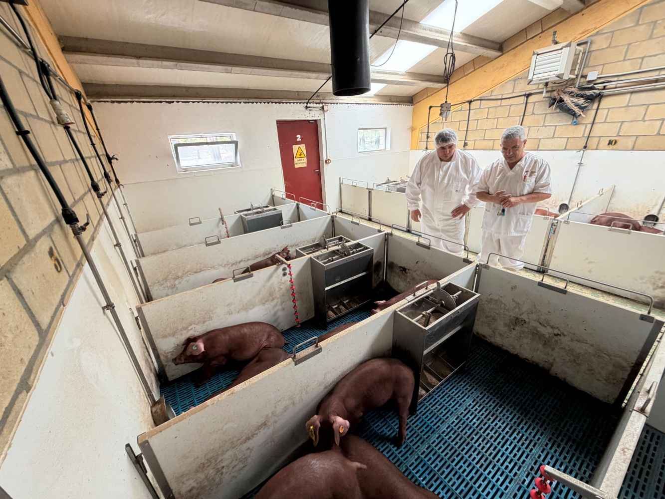 La Junta destina 450.000 euros a fortalecer cooperativas agroalimentarias de Castilla y León 