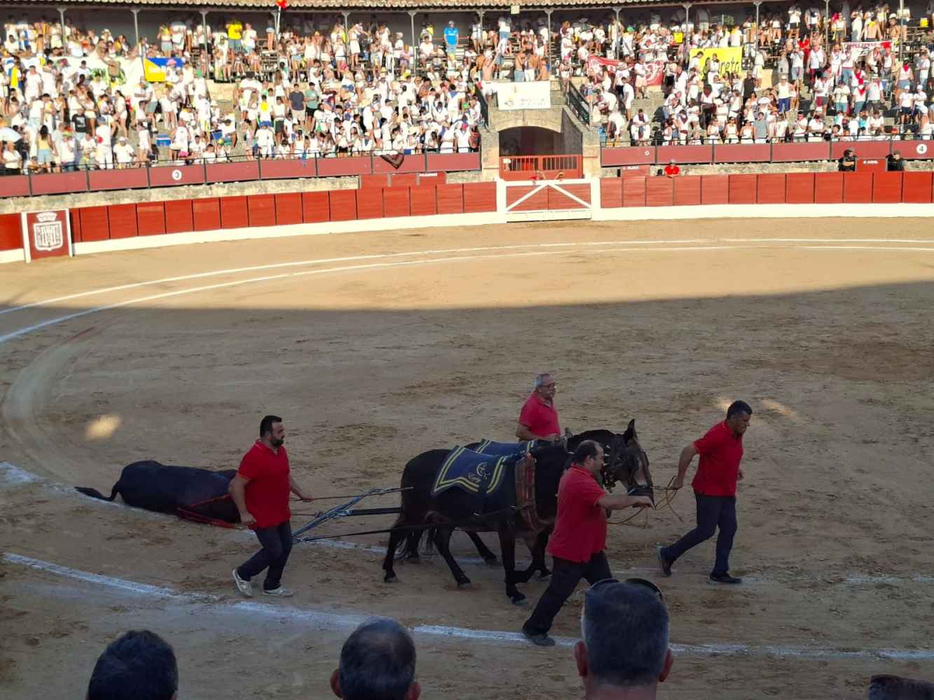 Gran faena de Jarocho a un toro de vuelta al ruedo