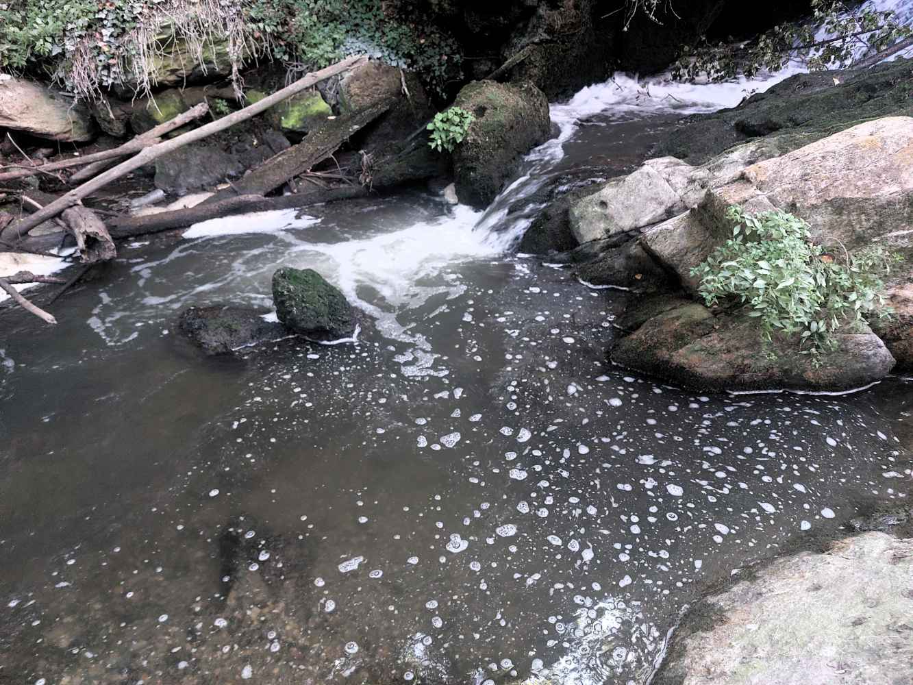 ASDEN denuncia ola de vertidos contaminantes en ríos sorianos ante inacción de administraciones
