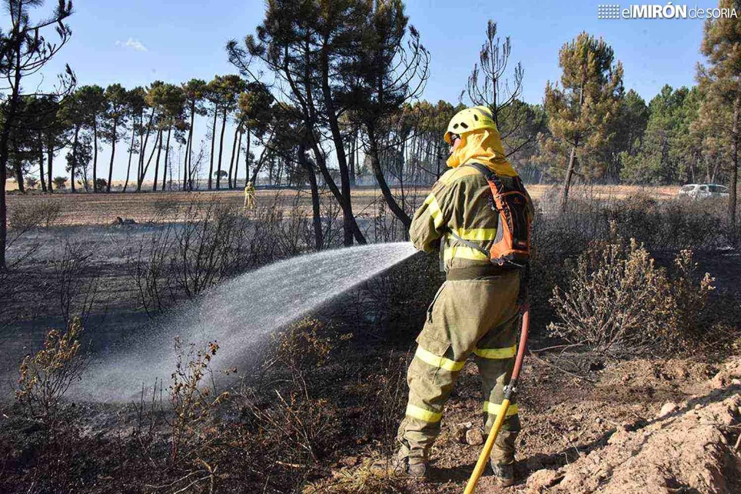Los incendios arrasan más de 116.500 hectáreas agrícolas en la última década