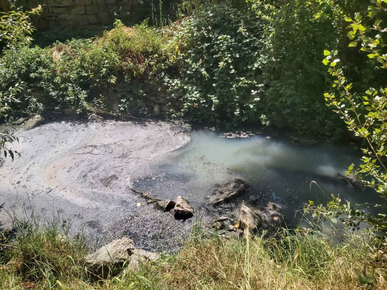ASDEN denuncia ola de vertidos contaminantes en ríos sorianos ante inacción de administraciones