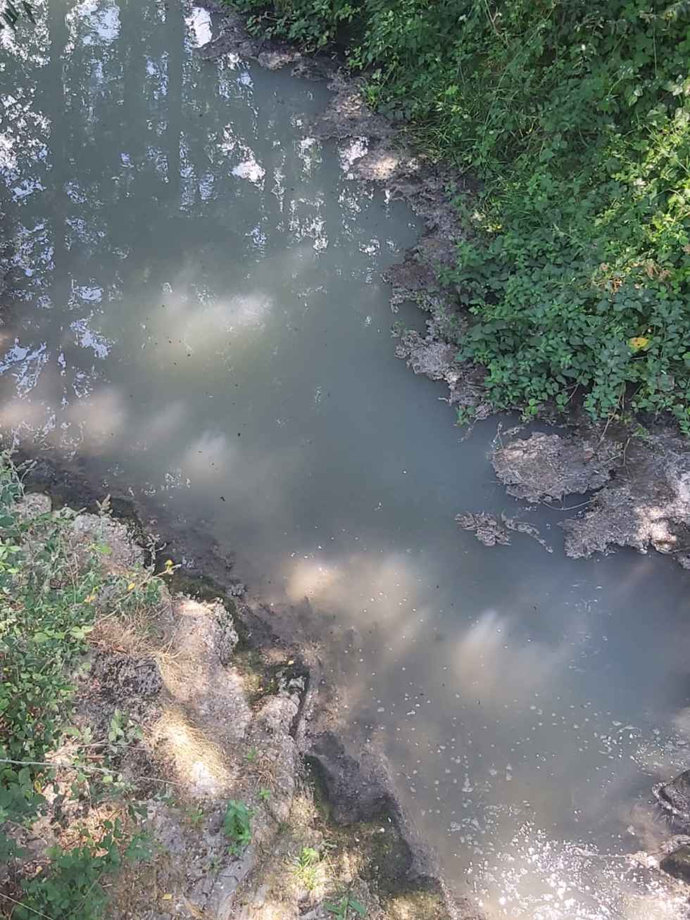 ASDEN denuncia ola de vertidos contaminantes en ríos sorianos ante inacción de administraciones