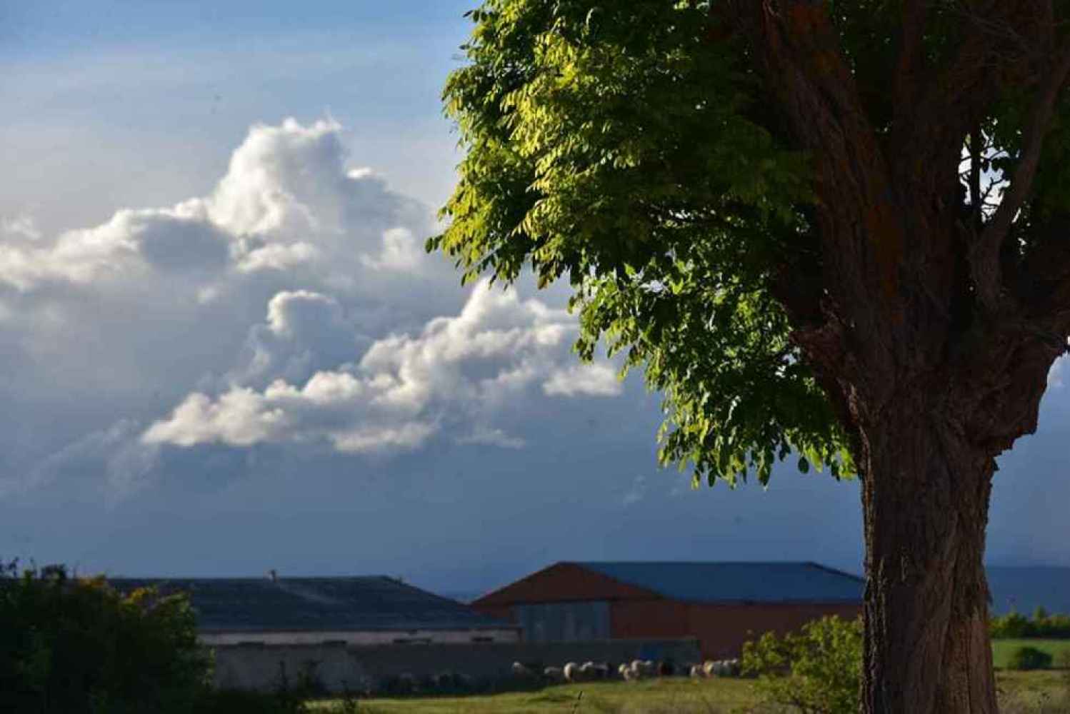 La Junta activa alerta por lluvias y tormentas en todas las provincias de Castilla y León 