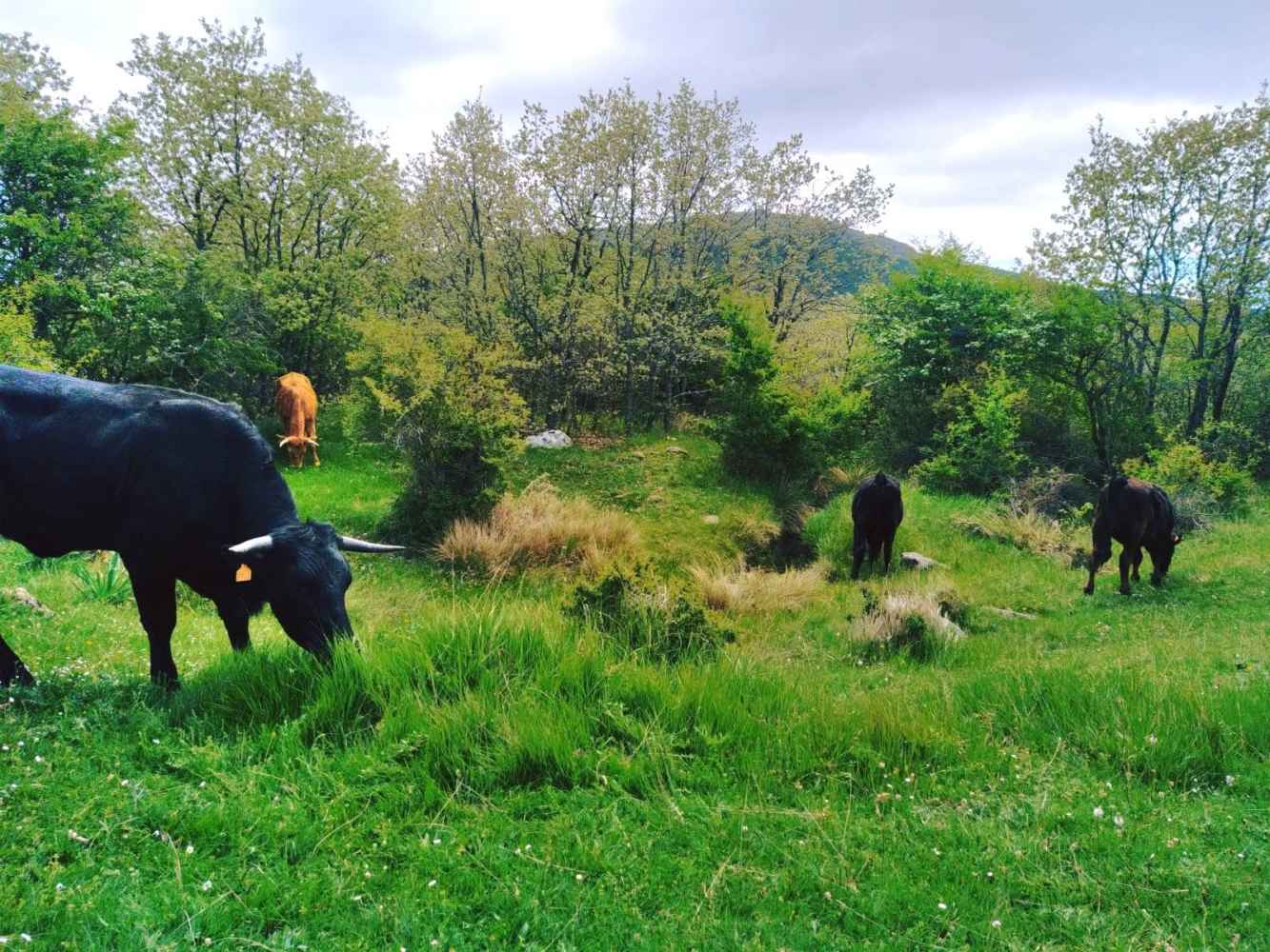 Cinco explotaciones de Soria forman a jóvenes agricultores y ganaderos en programa Cultiva 2026 