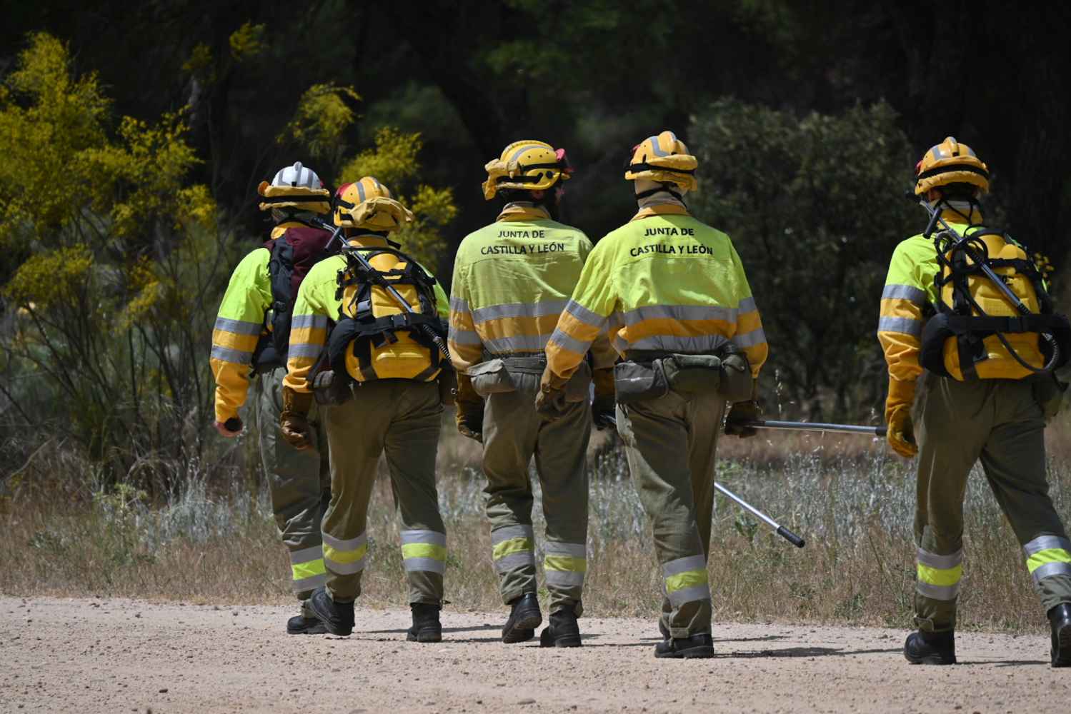El incendio de Burgohondo, en Ávila, ha calcinado 37.800 hectáreas 