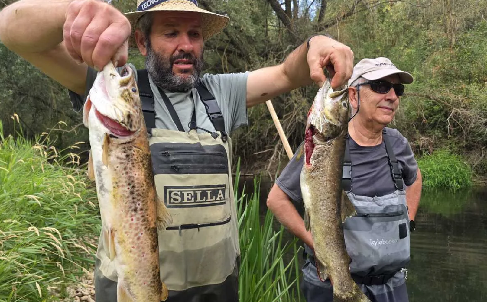Más de doscientos peces muertos, por vertido en aguas del Ucero