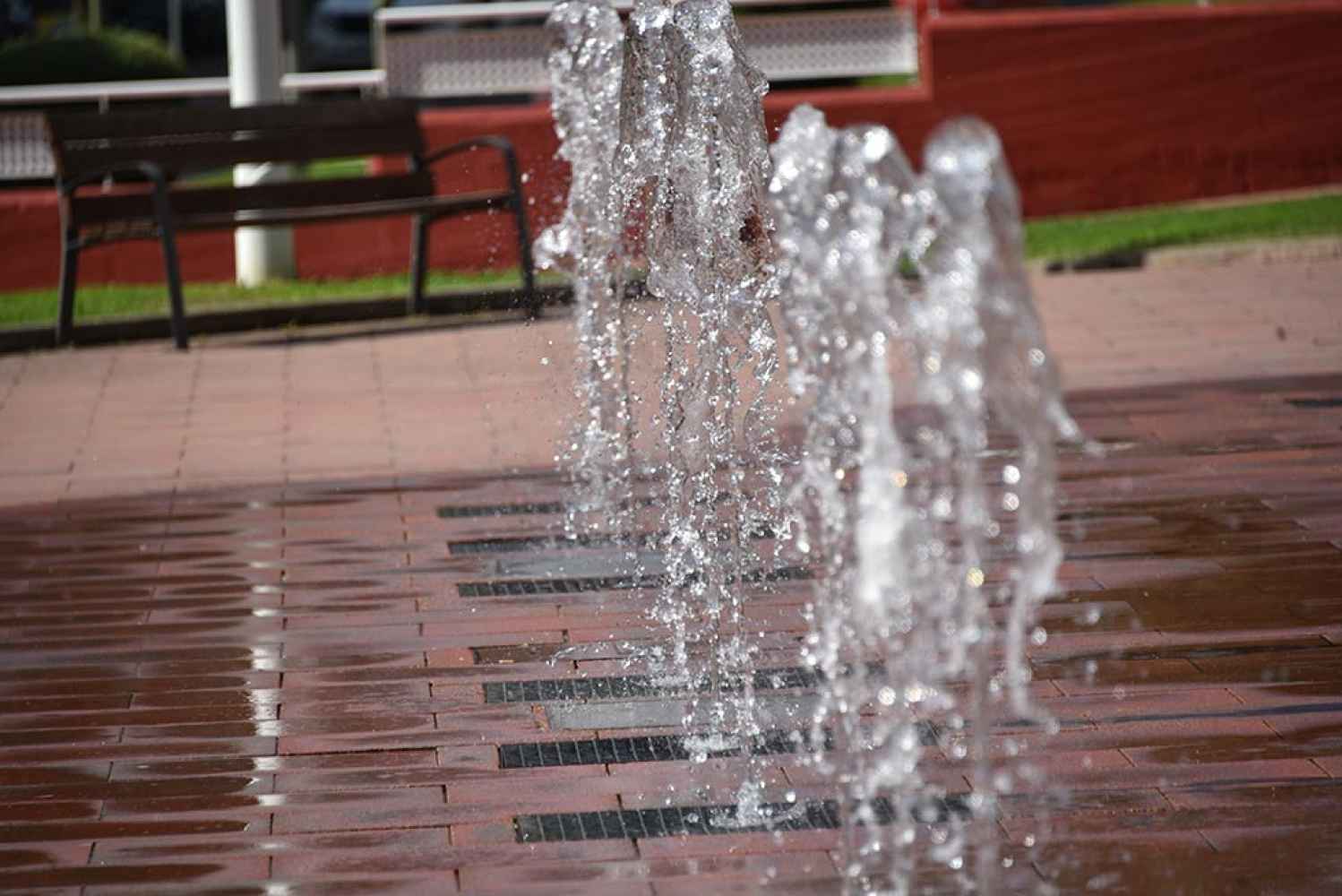 Castilla y León registra 315 muertes asociadas al calor durante este verano