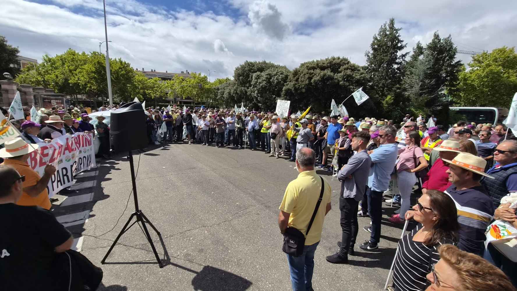 Los agricultores piden medidas a la Junta que den oxígeno a sector cerealista