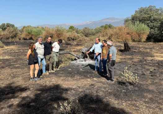 Junta y ganaderos supervisan suministro de alimentos en valle del Tiétar, tras incendio