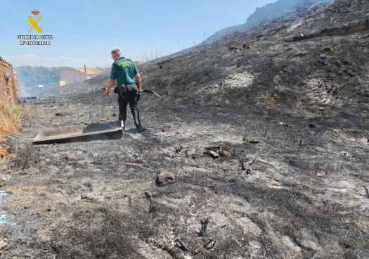 Detenido vecino de Monteagudo de la Vicarías como presunto autor de incendio forestal