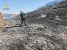 Detenido vecino de Monteagudo de la Vicarías como presunto autor de incendio forestal