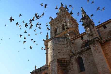 El verano se adentra en El Burgo de Osma