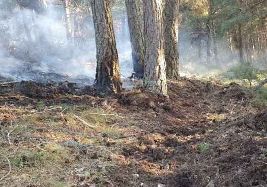 El incendio forestal en Vinuesa ha calcinado menos de dos hectáreas