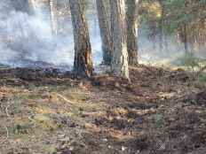 El incendio forestal en Vinuesa ha calcinado menos de dos hectáreas