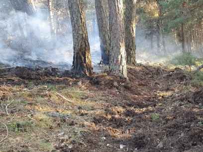 El incendio forestal en Vinuesa ha calcinado menos de dos hectáreas