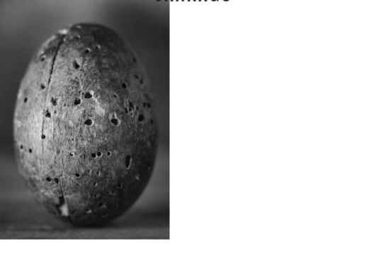 Sarnago presenta libro fotográfico 