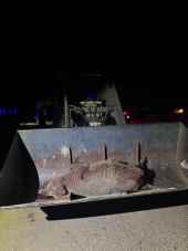 Dos detenidos por caza furtiva en término de Carabantes