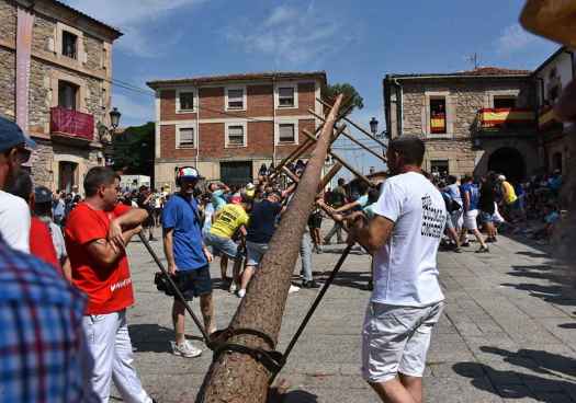 Vinuesa inicia sus fiestas patronales con la pingada del Mayo