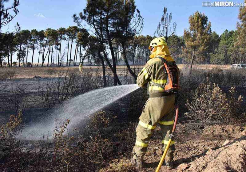Los incendios arrasan más de 116.500 hectáreas agrícolas en la última década