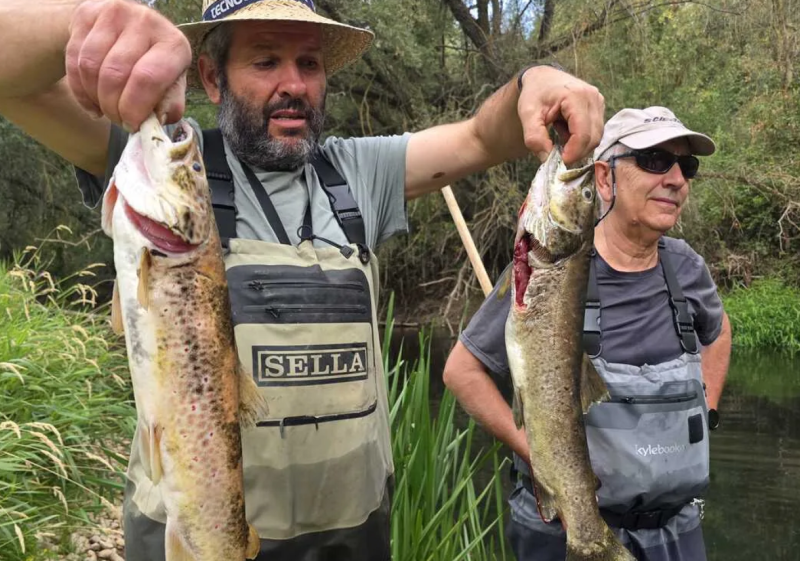 Más de doscientos peces muertos, por vertido en aguas del Ucero