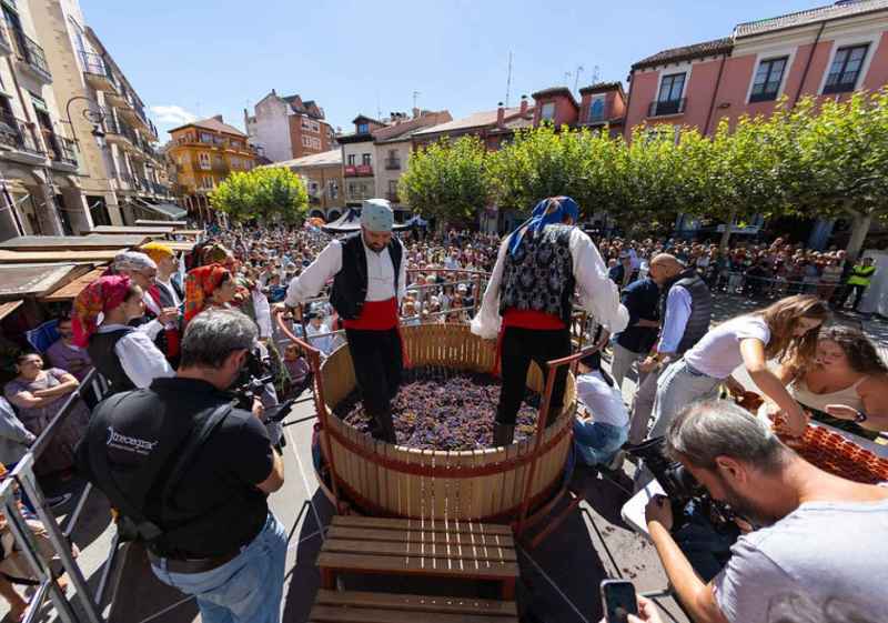 Ribera del Duero celebra la IX edición de la gran fiesta de la vendimia