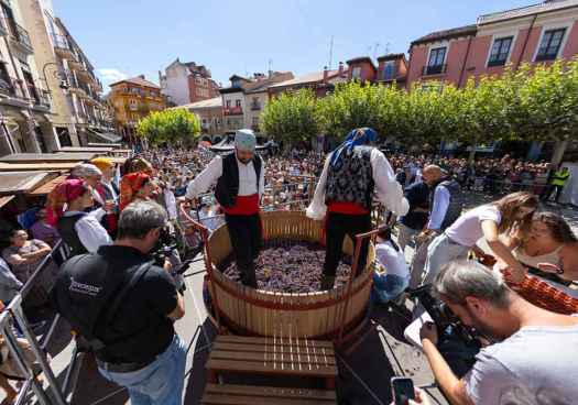 Ribera del Duero celebra la IX edición de la gran fiesta de la vendimia