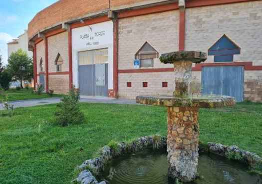 Fundación animalista censura que se regalen entradas a menores para corrida de toros de Almazán