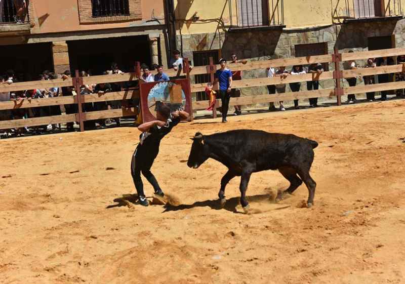 Las vaquillas protagonizan fiestas de Noviercas