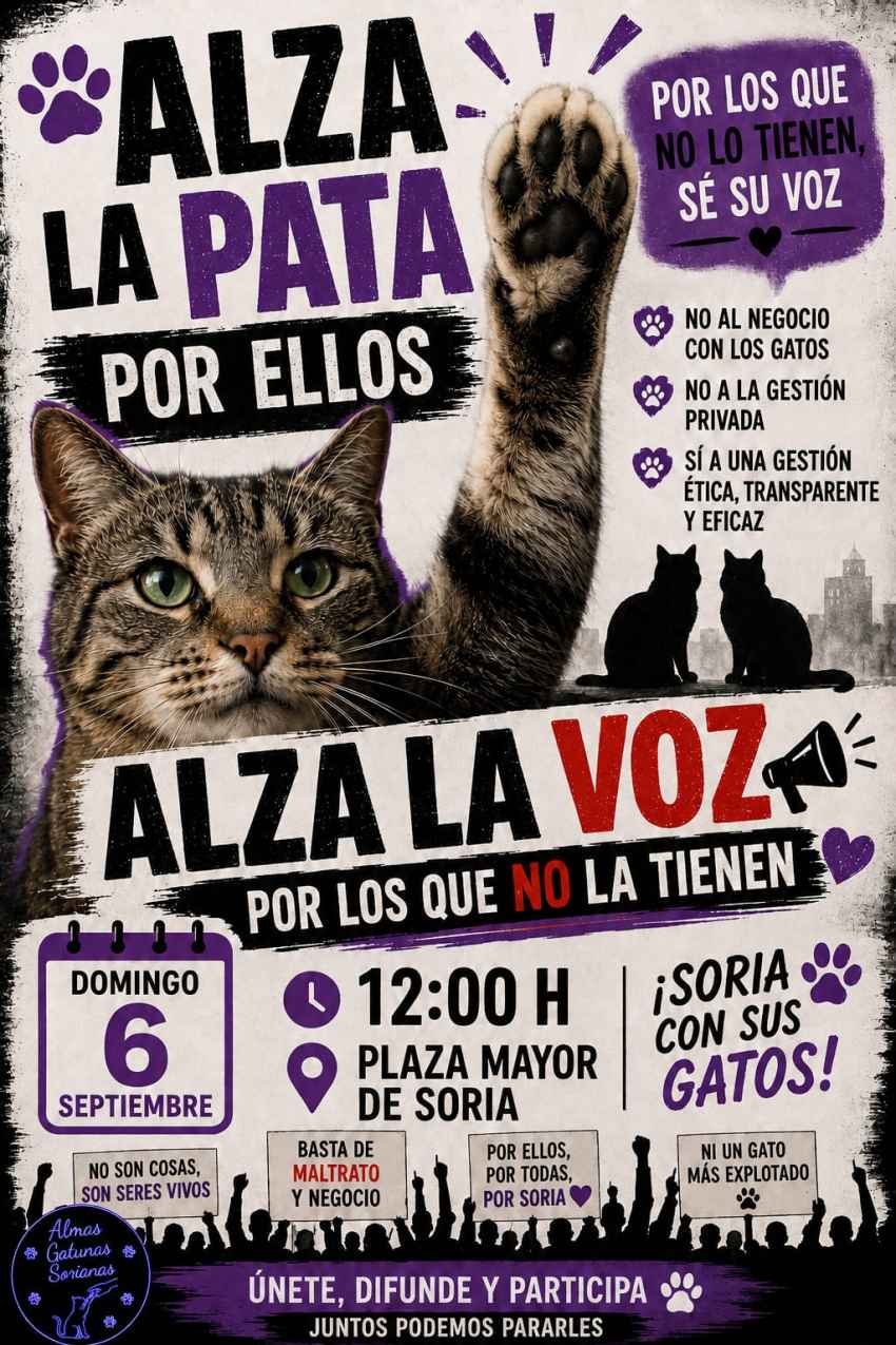 Almas Gatunas Sorianas llama a concentración para defender derechos de colonías felinas