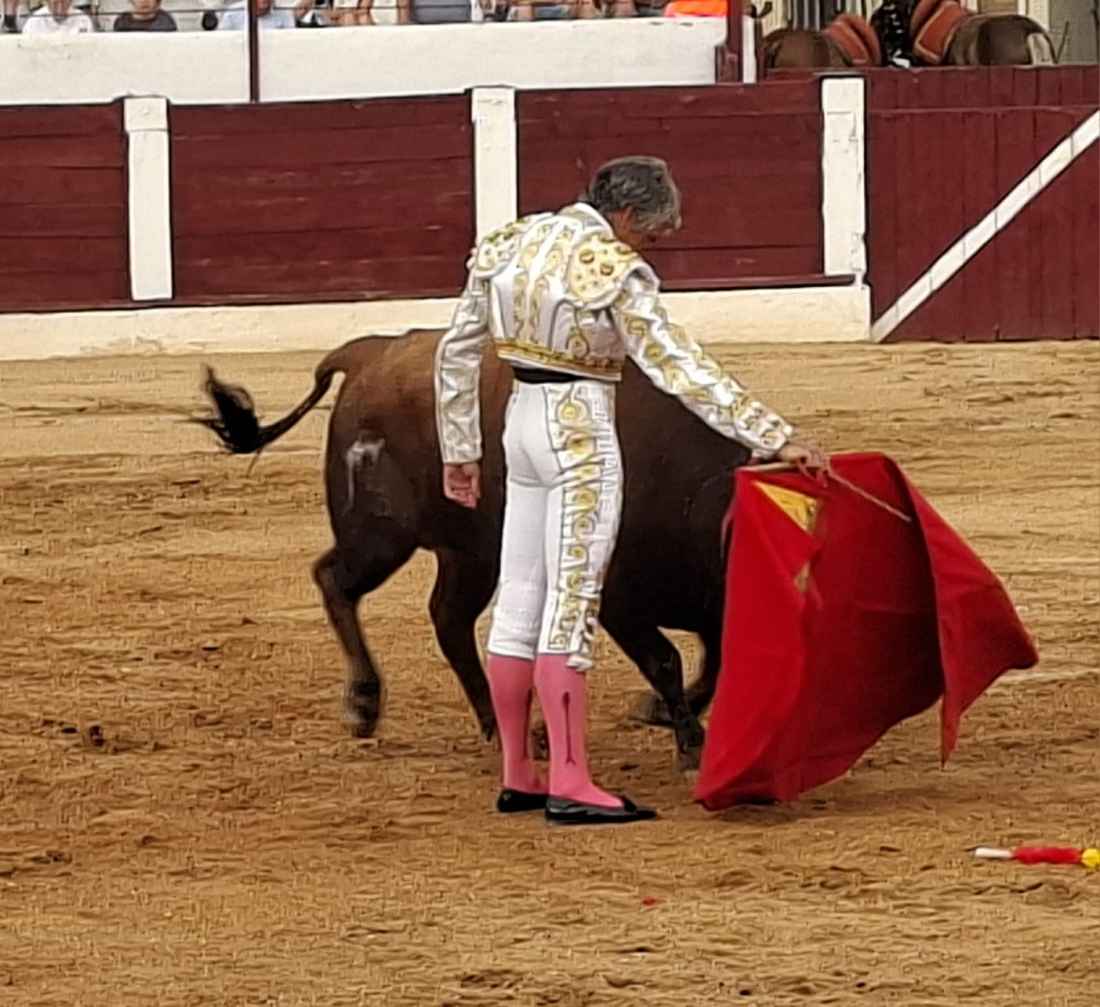 Orejas para Rubén Sanz y Jarocho en Almazán