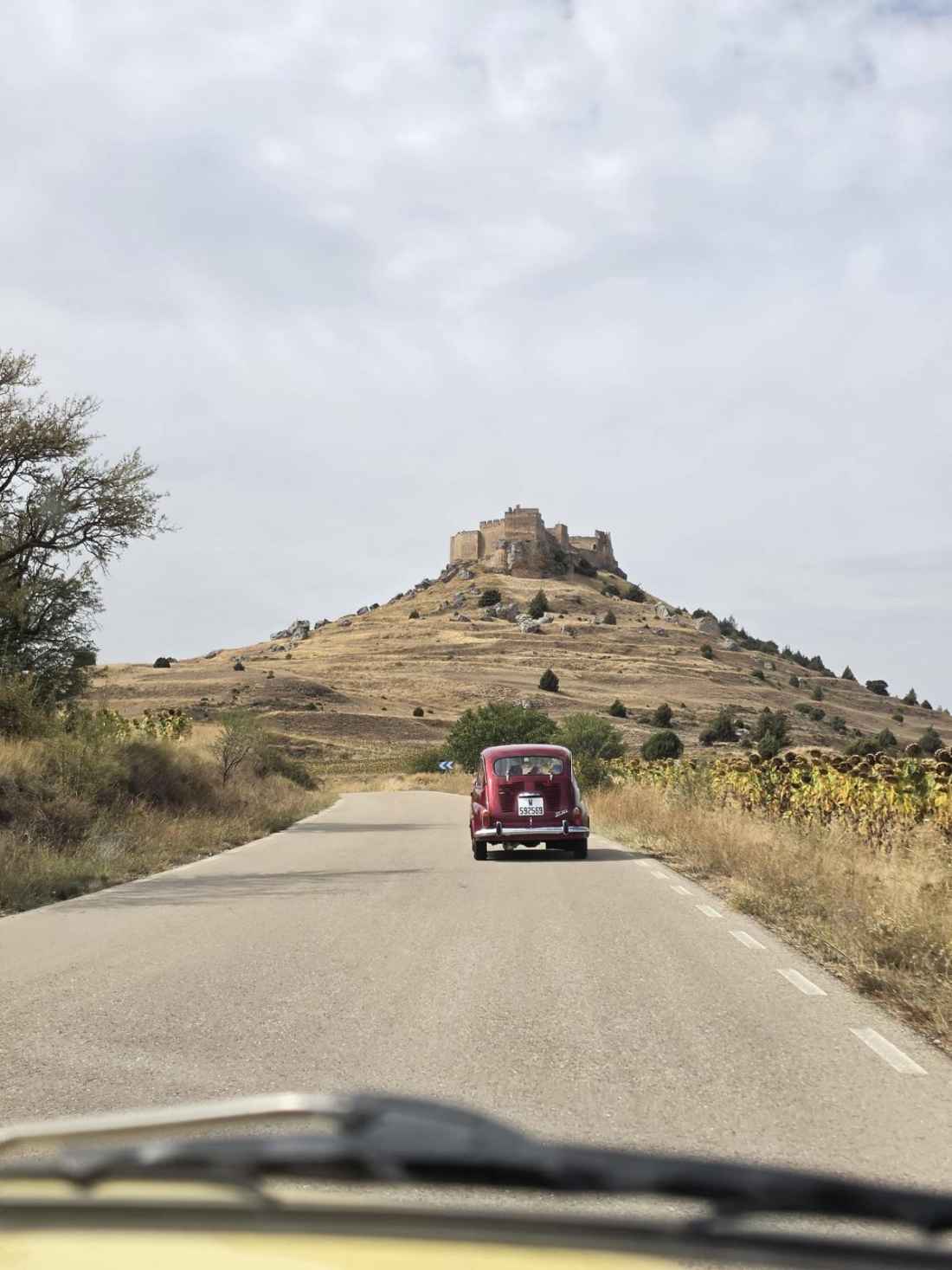 Los entrañables Seat 600 recorren castillos y pinares sorianos 