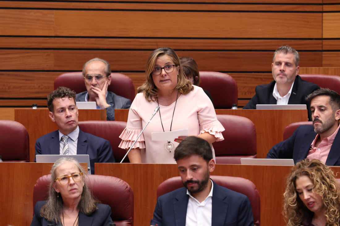 Soria ¡Ya! y PSOE afean a Junta su falta de implicación en solución de palacio derruido