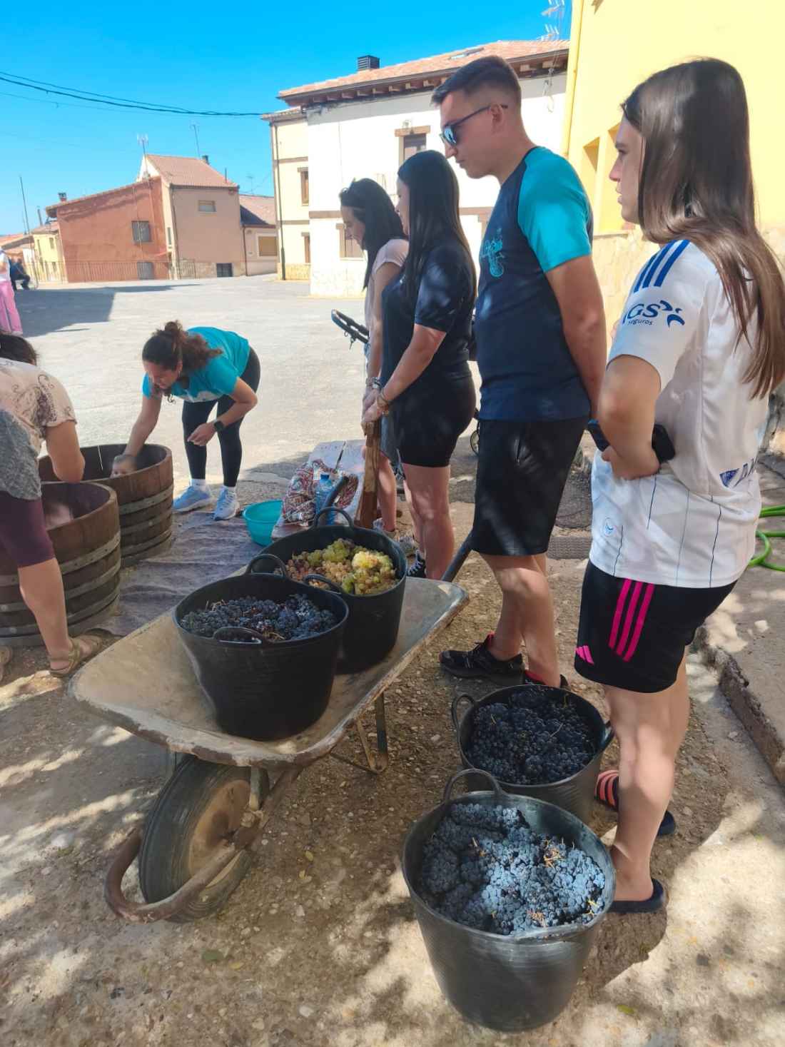 Pisada de uva para niños en Quintanilla de Tres Barrios