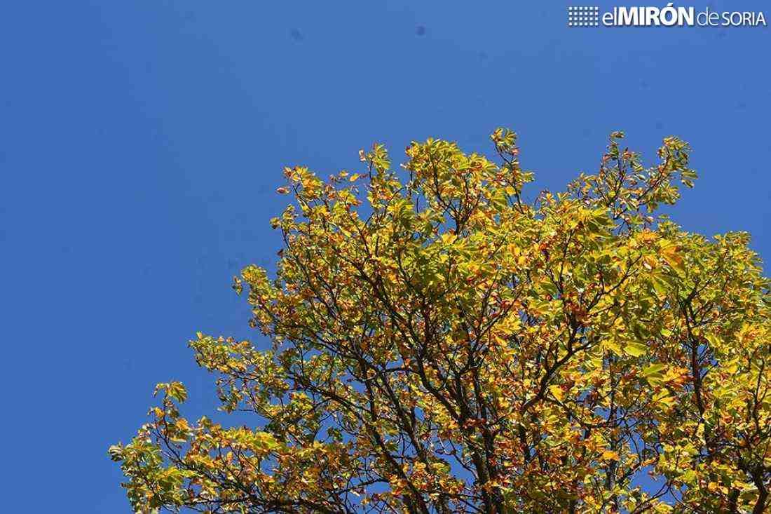El tiempo veraniego se prolongará la próxima semana en la Península