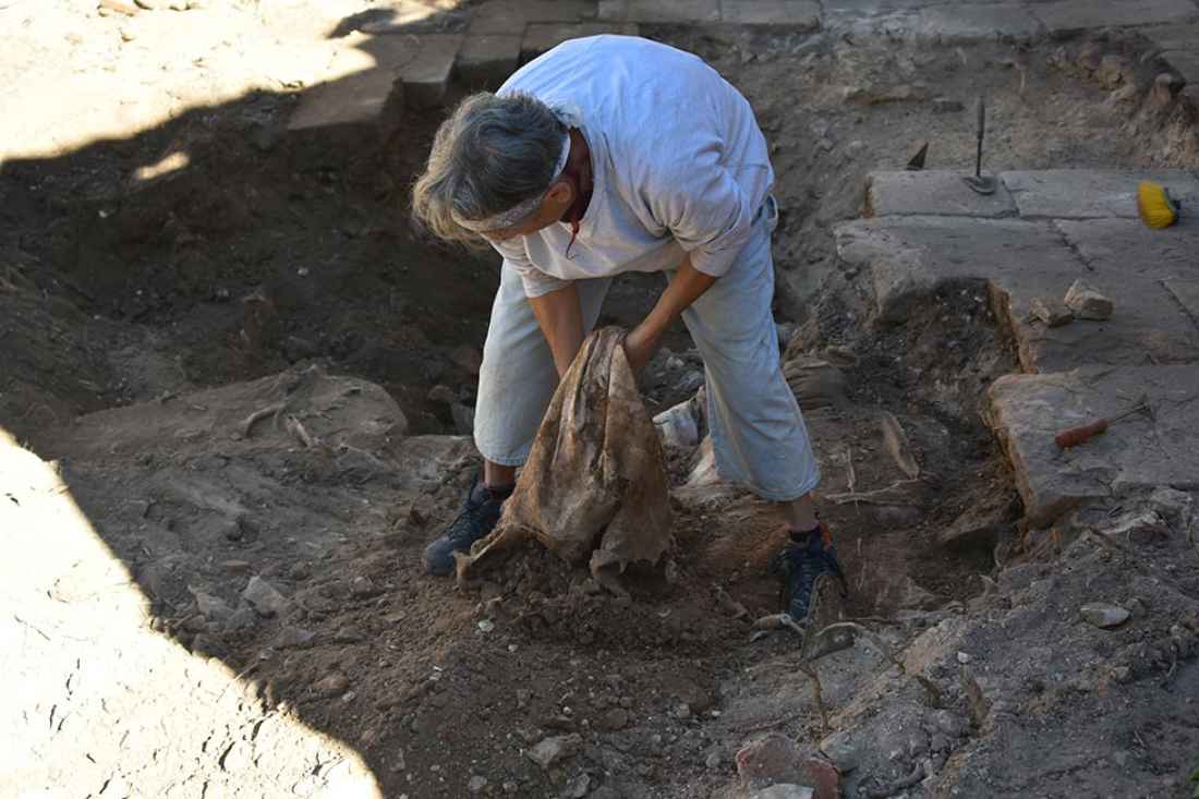 Cuatro investigadores mallorquines buscan en Soria los restos del infante Jaume IV