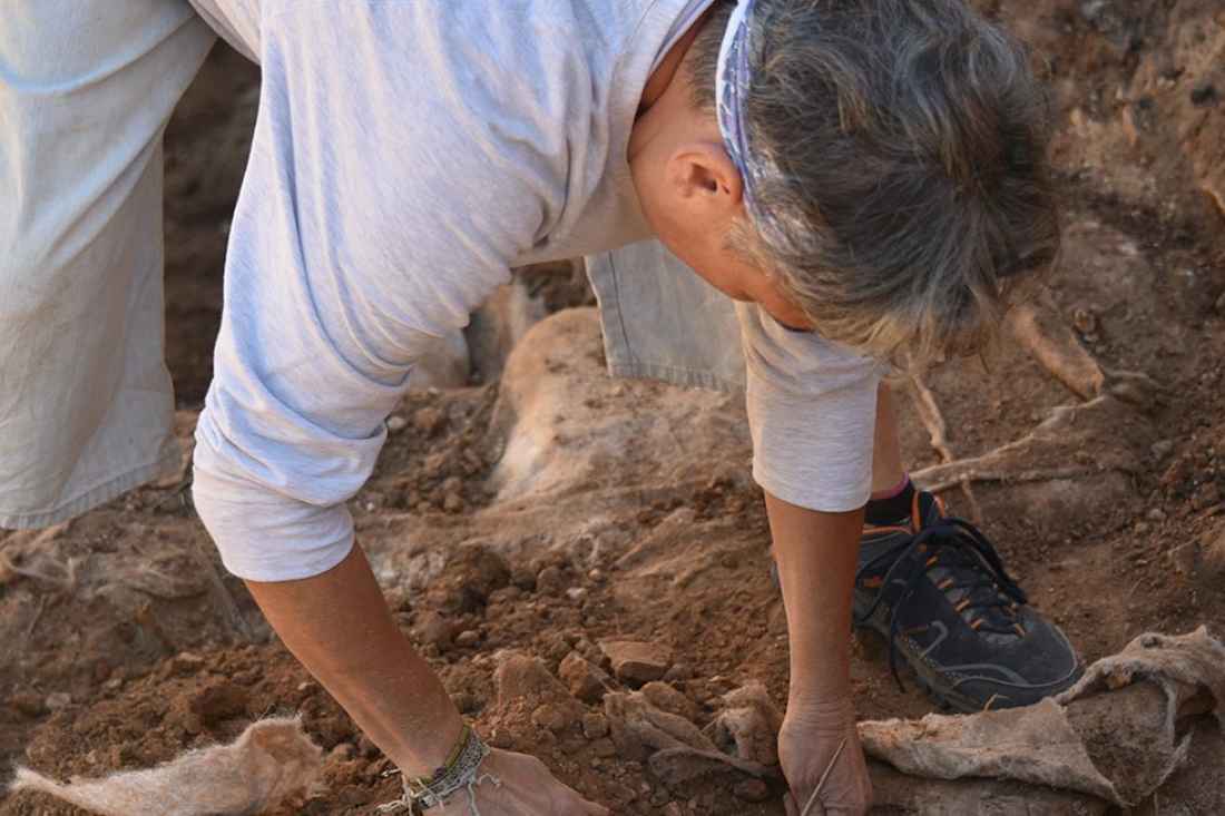 Cuatro investigadores mallorquines buscan en Soria los restos del infante Jaume IV