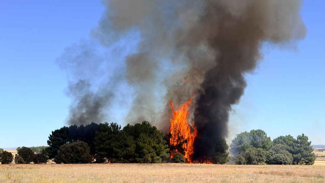 Casi cinco hectáreas calcinadas por incendio en Cubo de la Solana