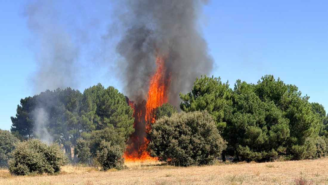 Casi cinco hectáreas calcinadas por incendio en Cubo de la Solana