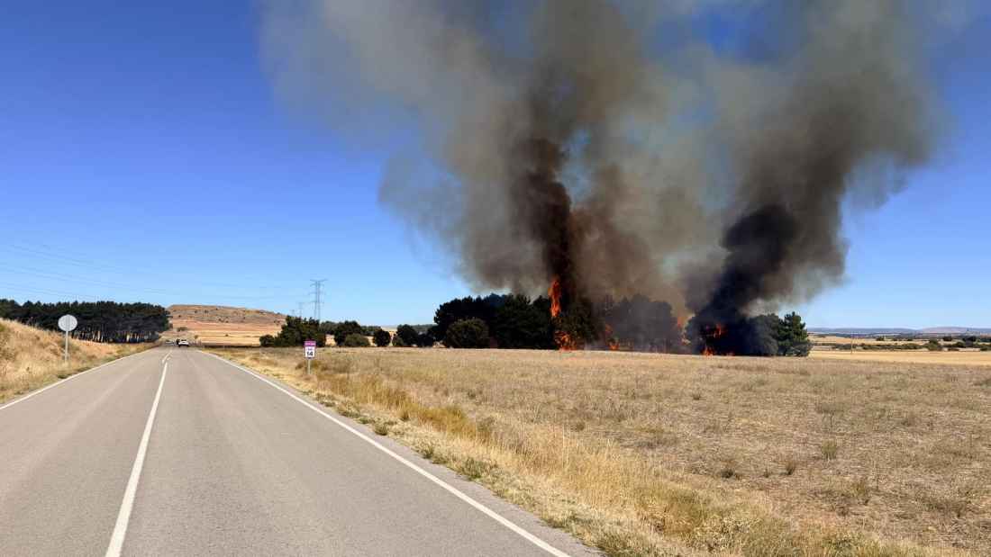 Casi cinco hectáreas calcinadas por incendio en Cubo de la Solana