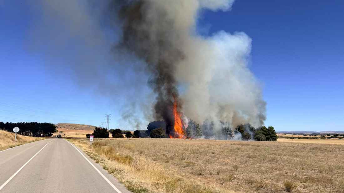 Casi cinco hectáreas calcinadas por incendio en Cubo de la Solana