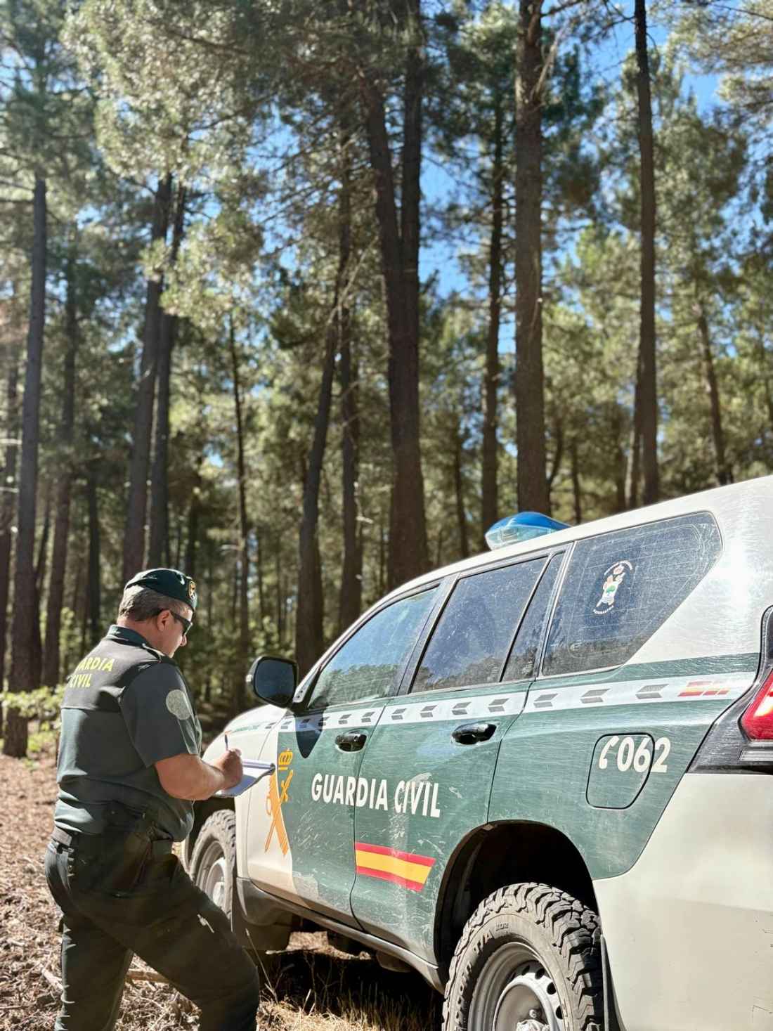 Dos detenidos por estafa en aprovechamiento forestal en San Leonardo de Yagüe