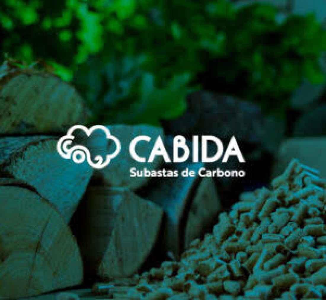 La plataforma de subastas de créditos de carbono forestal celebra su primer acto público