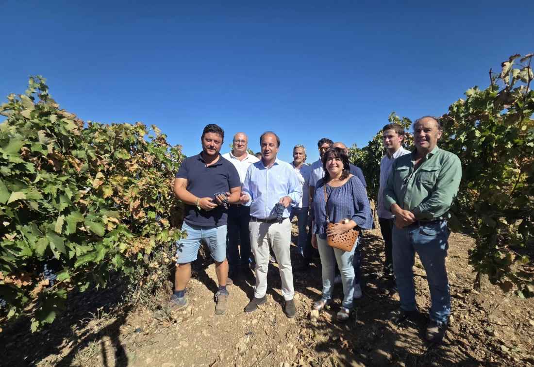 La Junta presenta estudio de costes de producción en la D.O.P. Ribera del Duero 