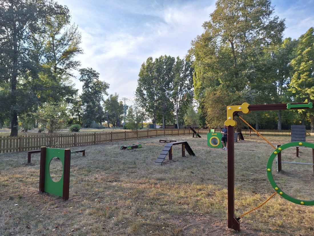 Almazán estrena nuevo servicio municipal con circuito canino “Agility” 